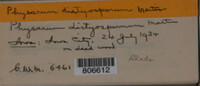 Image Associated With the Occurence